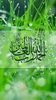 Wallpaper 77